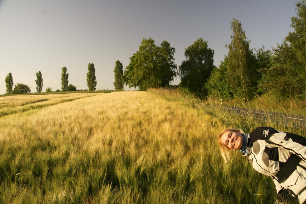 Klik op de foto om originele grootte te bekijken