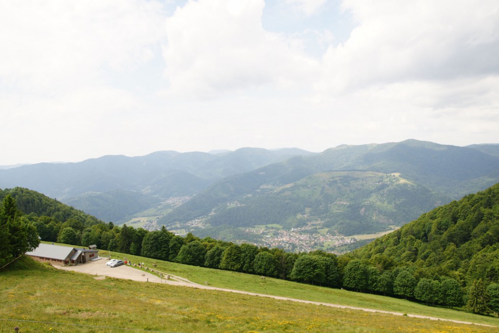 Clicca per vedere l'immagine alla massima grandezza