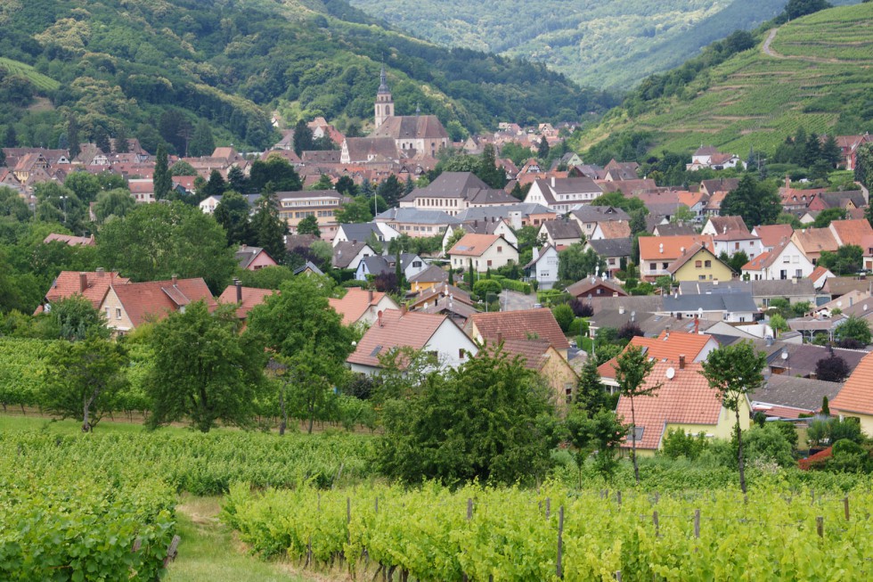 Kliknite pre zobrazenie veľkého obrázka