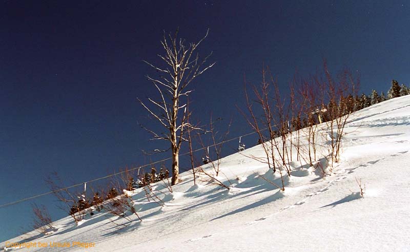 Skitour 006 Hirschberg 06.02.2005   Bild 03