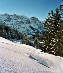 Skitour 006 Hirschberg 06.02.2005   Bild 02