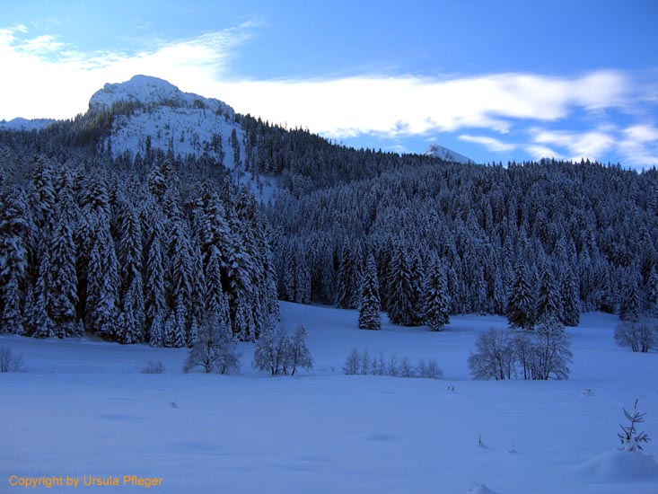 Rossstallhuette Skitour - Bild     010