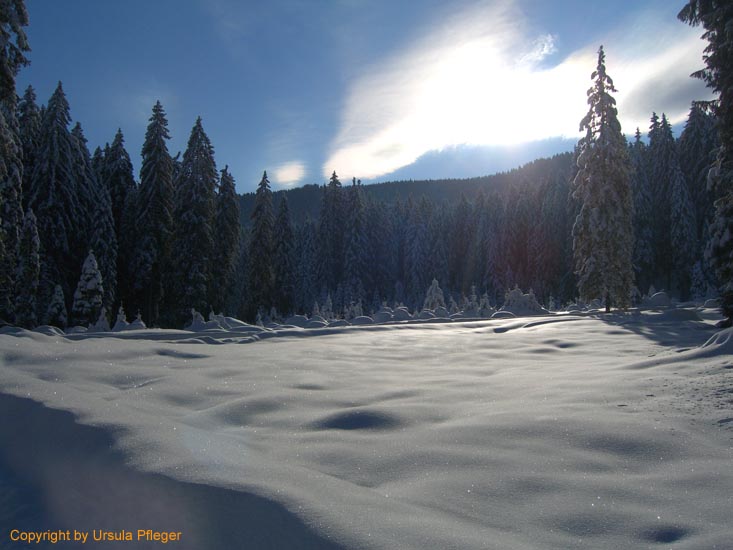 Rossstallhuette Skitour - Bild     013